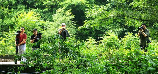 县摄协扎实开展“房县摄影家拍房县”活动