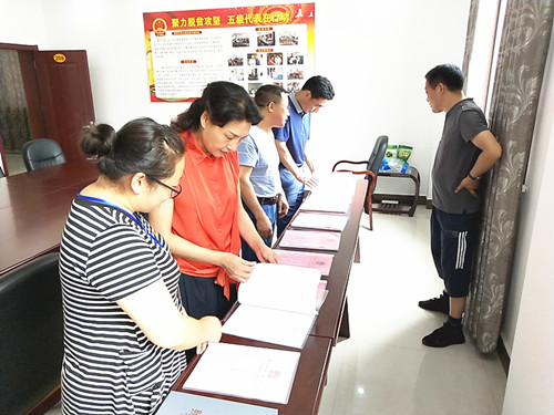 胡维英调研城关镇人大工作