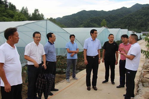 刘海军调研窑淮镇精准扶贫工作