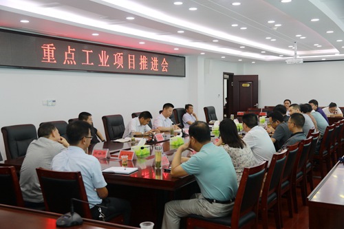 纪道清为重点工业项目“问诊把脉开良方”