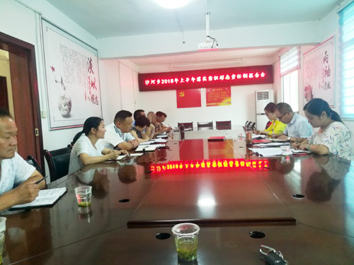 县委宣传部检查督导沙河乡意识形态责任制工作