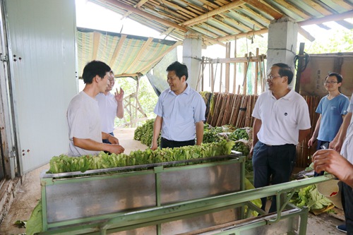 陈新武来房调研精准扶贫工作