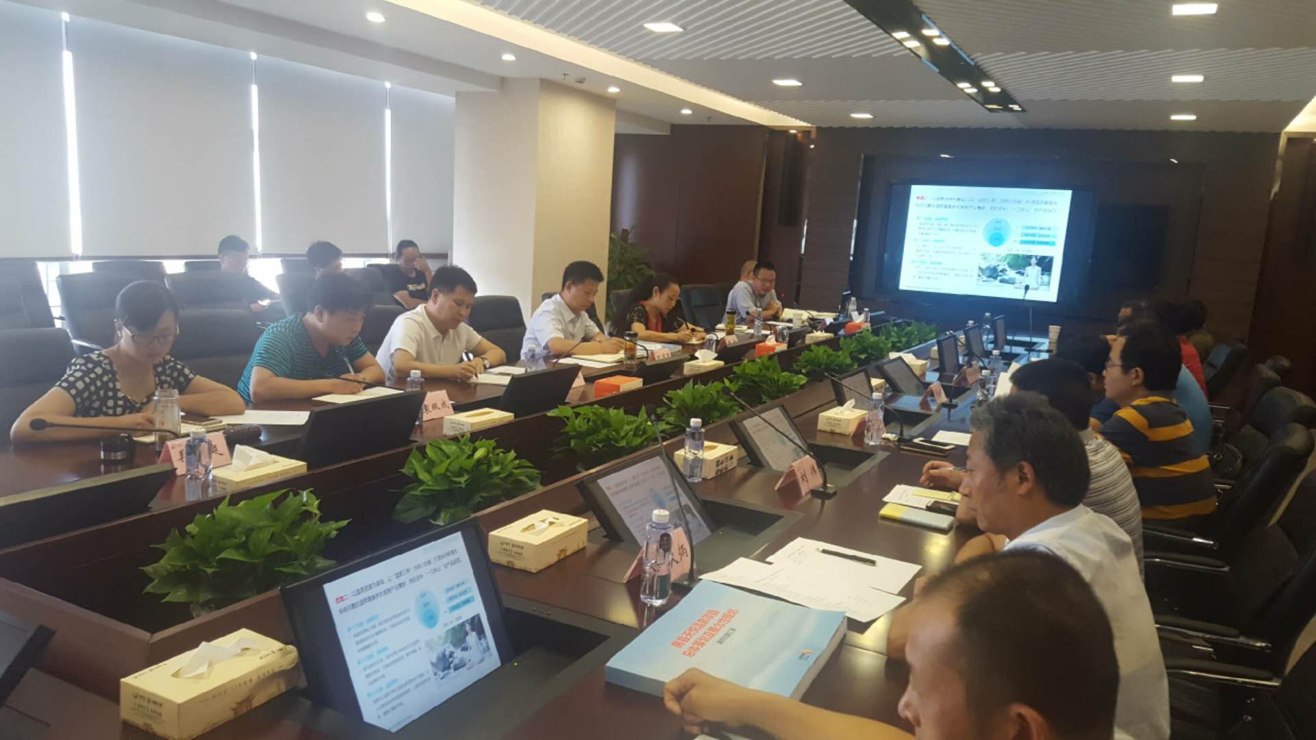 纪道清出席天悦温泉二期项目规划评审会