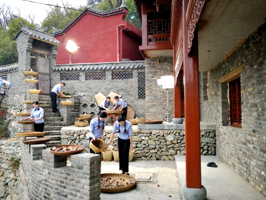 房县香菇被央视纳入“国家品牌计划 广告精准扶贫”项目