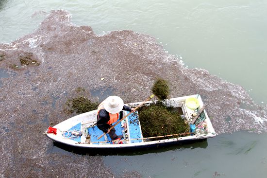 房县编外“河长”保洁265条河流