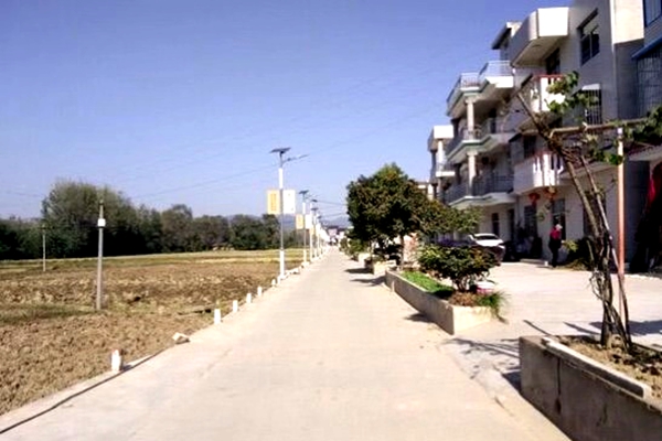 扶贫村的“白月光”