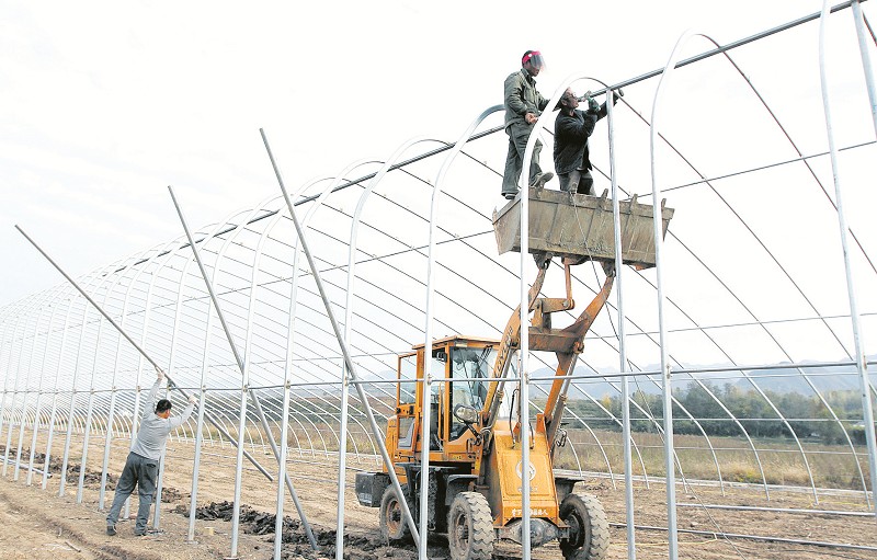 化龙堰镇搭建滴水灌溉蔬菜钢架大棚