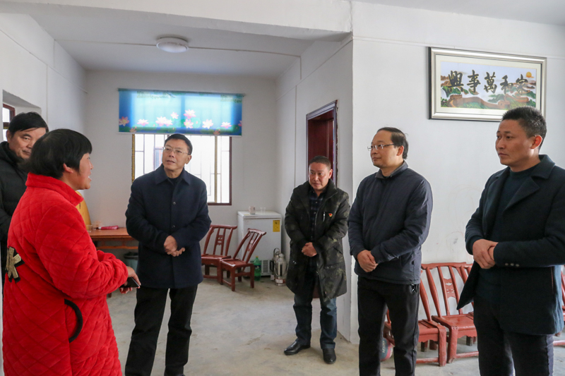 张歌莺强调：全面贯彻四中全会精神 从严从实整顿软弱涣散基层党组织