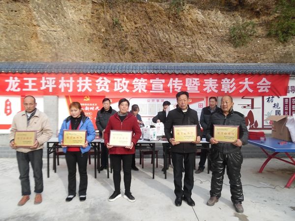 青峰镇龙王坪村：表彰先进树标杆 政策宣讲聚人心