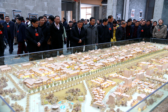 两会期间代表委员视察重点项目建设