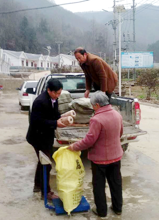 房县教育局助力精准扶贫 2000斤菌种送至贫困户家中