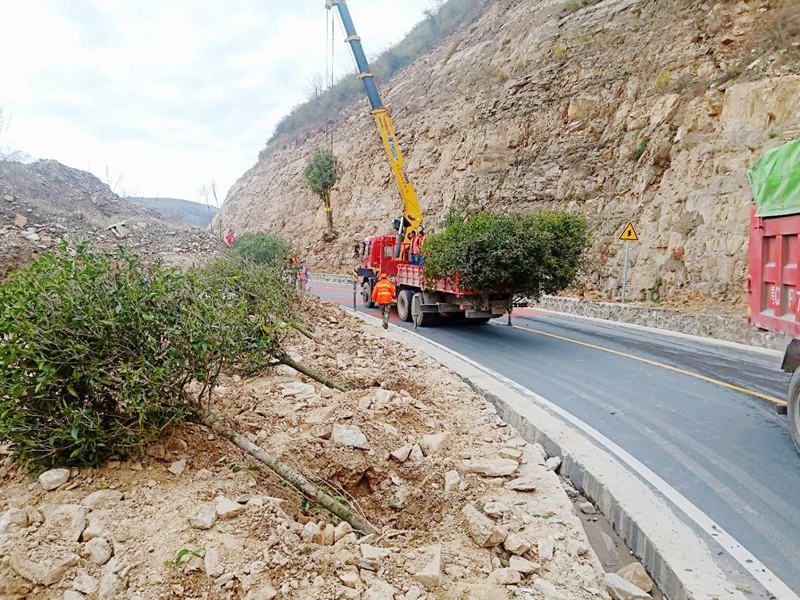 房县交通公路部门：掀起春季绿化植树热潮全力打造“生态旅游路”