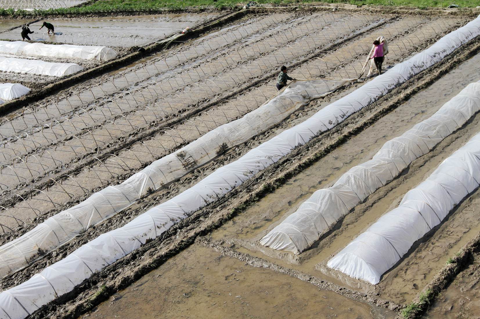 房县小渠道“解渴”10万亩水田