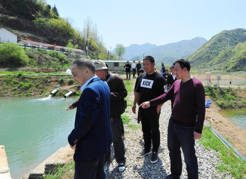 房县作协会员走美丽乡村 写脱贫故事