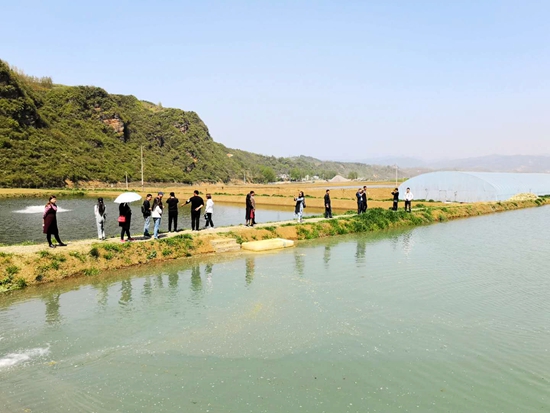 石吉涛：返乡创业建渔场 “授人以渔”富乡邻