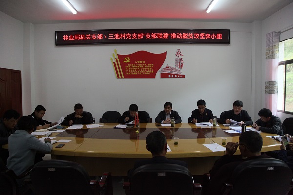 林业局携手中坝乡三池村开展“支部连支部携手奔小康”活动