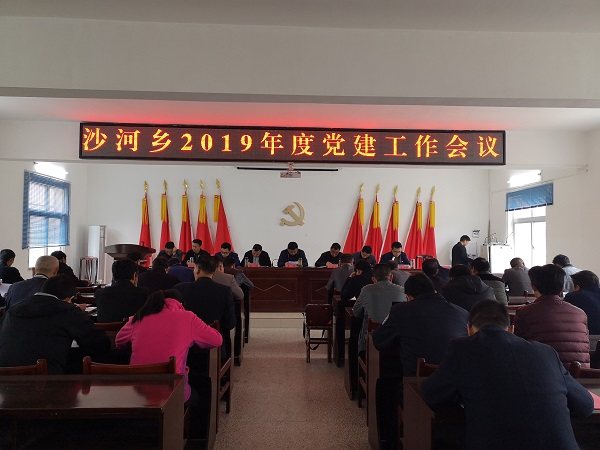 沙河乡坚持党建引领抓好全面工作