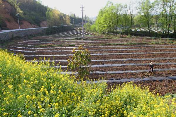 房县治好一条流域富甲一方百姓