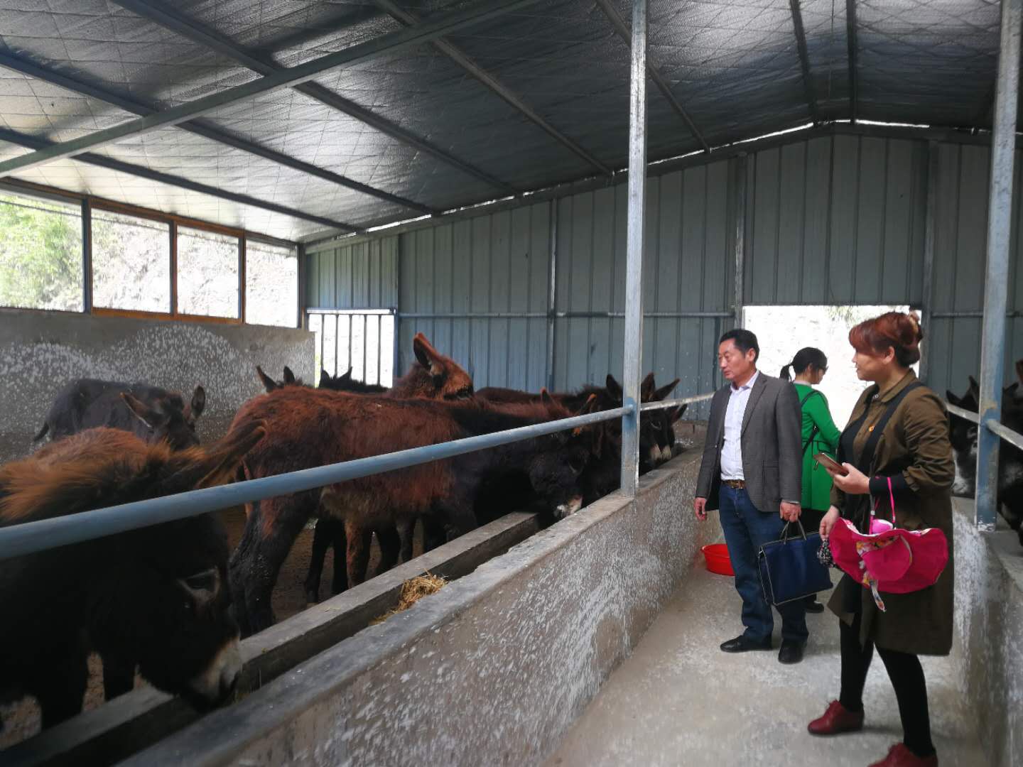 军店镇“天晨种养殖专业合作社”产业扶贫前景