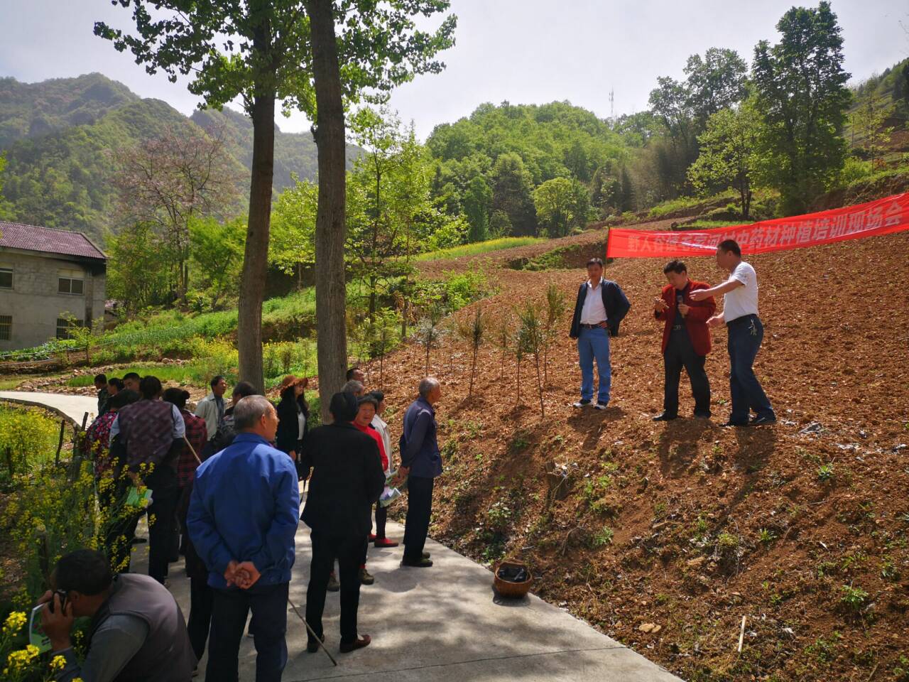 野人谷镇毛家河村开展北柴胡种植技术培训