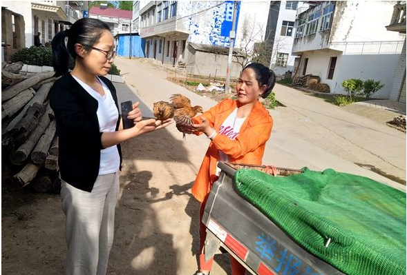 化龙堰镇：积极发展到户产业 促进贫困户增收脱贫