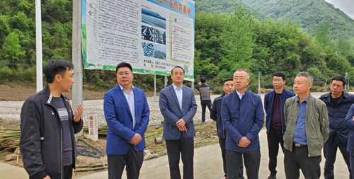 巴东县考察团来我县考察食用菌产业