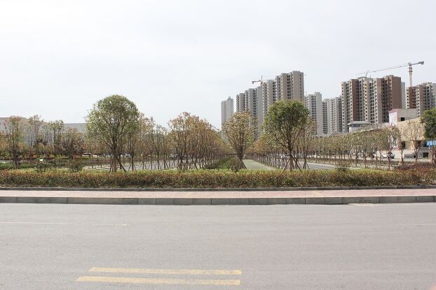 房县首座大型生态停车场建成投用