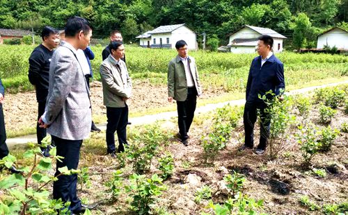 纪道清调研化龙堰镇汪家河村脱贫攻坚工作