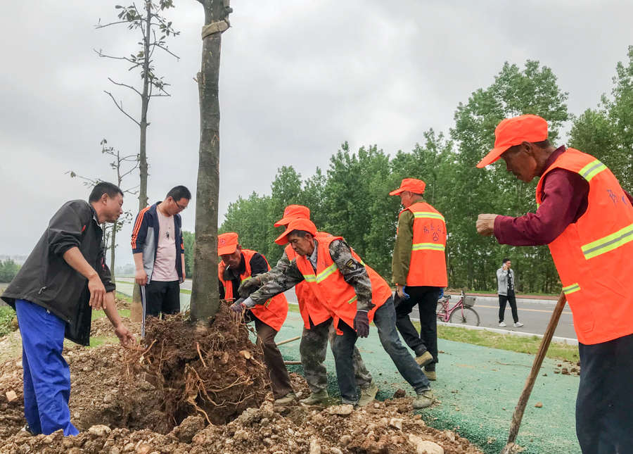 房县交通公路部门开展道路养护绿化工作  助力“五城联创”