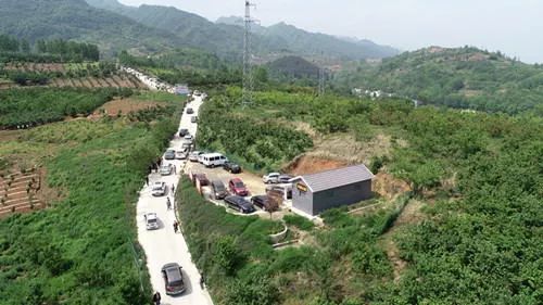 小小樱桃串联起乡村振兴――探访房县三位新农民发展新型产业的故事