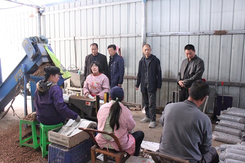 万峪河乡食用菌产业户增收1.5万元