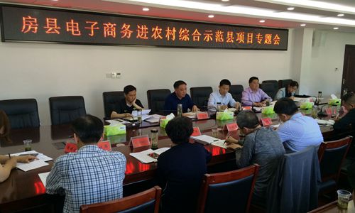 纪道清强调：扎实做好国家电子商务进农村综合示范项目推进工作