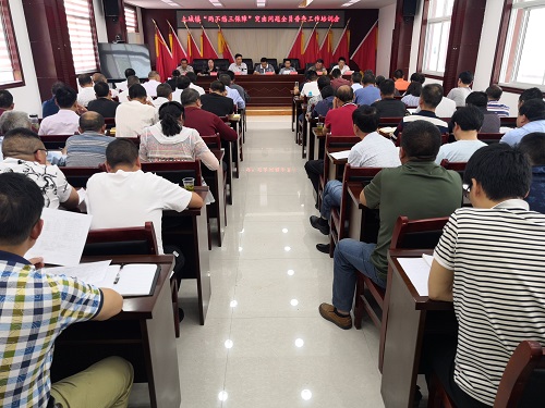 土城镇召开“两不愁三保障”突出问题全员普查工作动员会