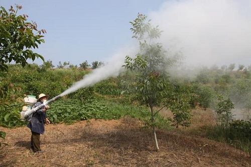 县林业局加强夏季核桃基地管护