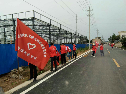 志愿服务结“双队”，携手共建美丽村