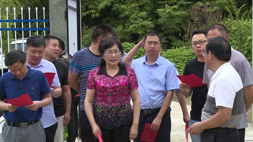 省农村能源办来我县调研能源项目