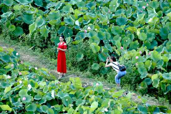 房县“臭水河”变成湿地公园