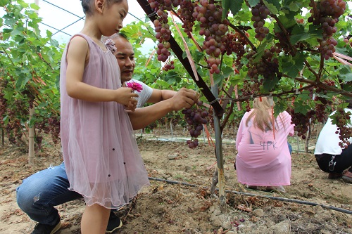 新时代文明实践送戏下乡——走进窑淮镇