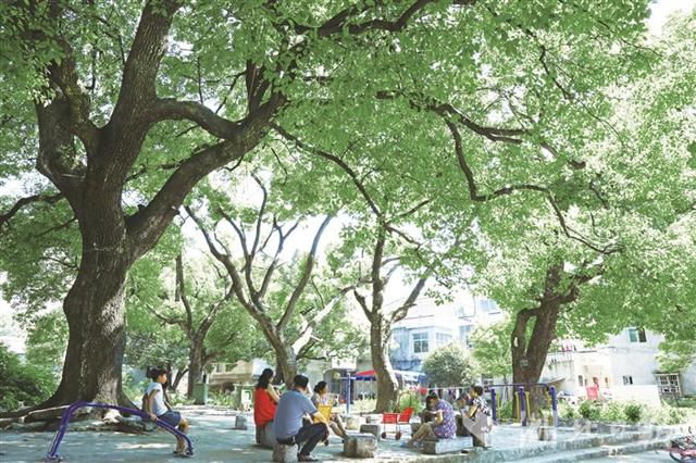 湖北将每年建设300个国家森林乡村，绿化美化5000个村