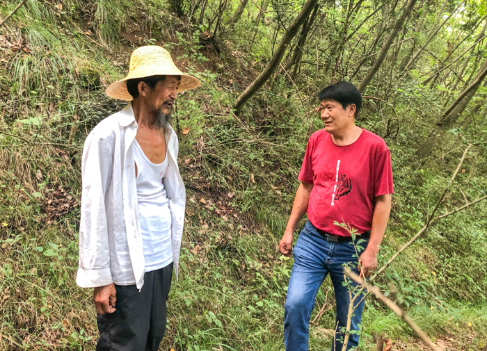 张明春：小事不过夜 大事不出村