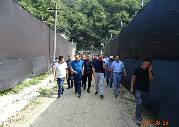 白鹤镇召开食用菌产业现场观摩会