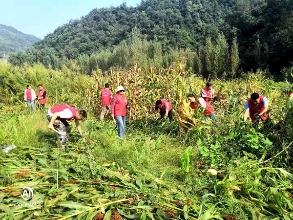 县环卫所开展助力村民保丰收文明实践志愿活动