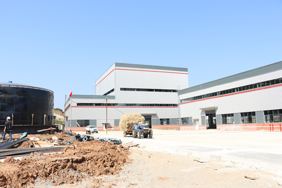 政府“做媒”，秸秆终于找到了“好婆家”