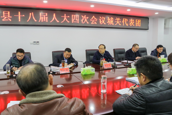 蔡贤忠分别参加政协文化旅游科教界、人大城关代表团讨论