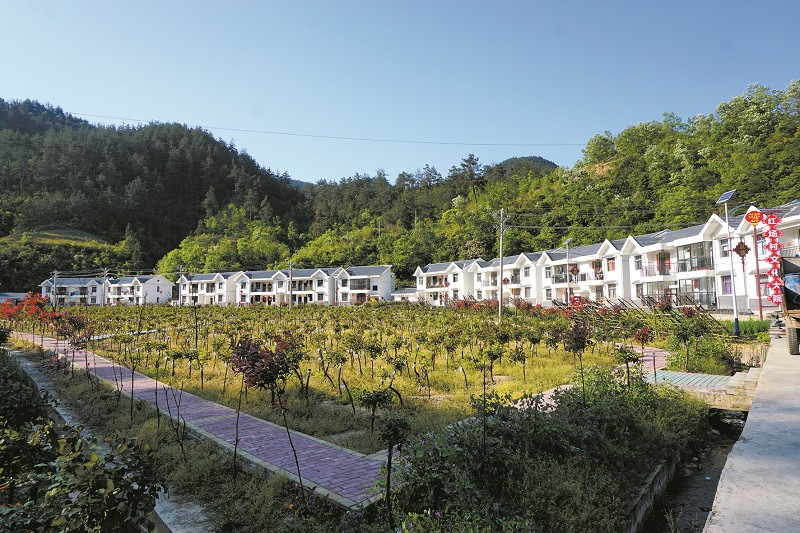 生态五台绿富美 ——房县五台乡扶贫工作综述