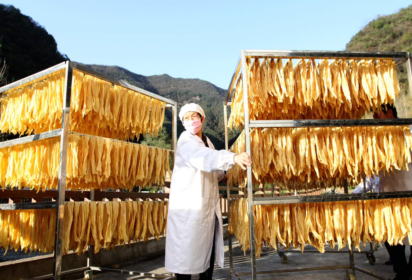 房县豆油精“塞满”农民“钱袋子”