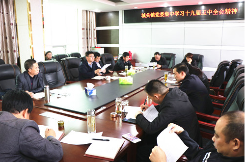 城关镇党委认真传达学习党的十九届五中全会精神