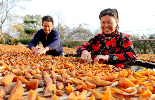 房县红薯疙瘩成了致富“金疙瘩”