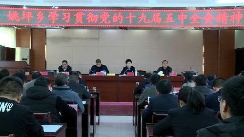 姚坪乡深入学习贯彻党的十九届五中全会精神