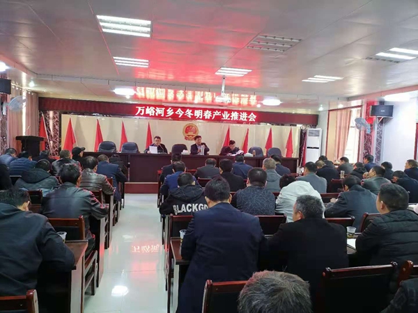 万峪河乡召开今冬明春产业推进会